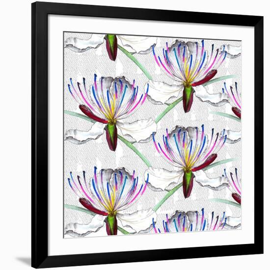 Caper flowers, 2017-Andrew Watson-Framed Giclee Print