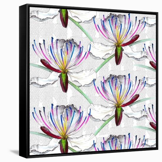 Caper flowers, 2017-Andrew Watson-Framed Stretched Canvas