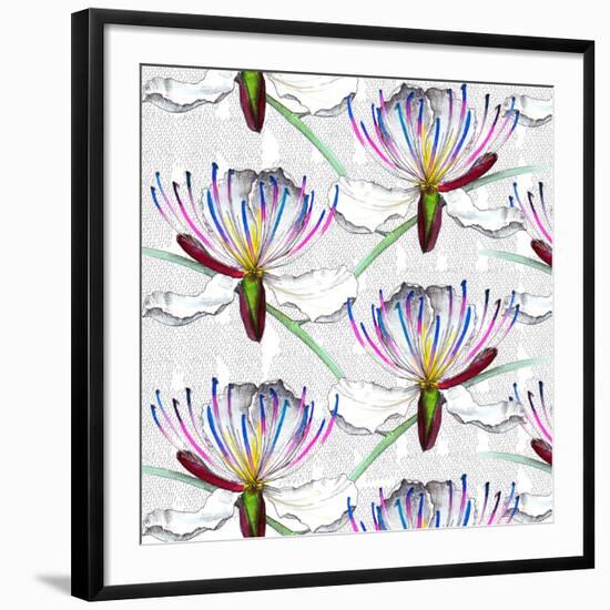 Caper flowers, 2017-Andrew Watson-Framed Giclee Print