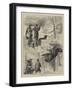 Capercailzie Shooting-null-Framed Giclee Print