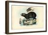 Capibara, 1863-79-Raimundo Petraroja-Framed Giclee Print