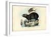 Capibara, 1863-79-Raimundo Petraroja-Framed Giclee Print