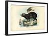 Capibara, 1863-79-Raimundo Petraroja-Framed Giclee Print