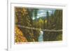 Capilano Bridge, Vancouver, British Columbia-null-Framed Premium Giclee Print