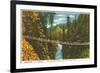 Capilano Bridge, Vancouver, British Columbia-null-Framed Premium Giclee Print