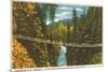 Capilano Bridge, Vancouver, British Columbia-null-Mounted Premium Giclee Print