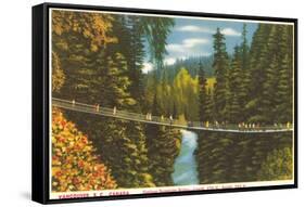 Capilano Bridge, Vancouver, British Columbia-null-Framed Stretched Canvas