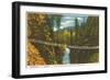 Capilano Bridge, Vancouver, British Columbia-null-Framed Art Print