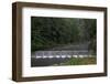 Capilano River Regional Park, Vancouver, British Columbia, Canada, North America-Richard Cummins-Framed Photographic Print