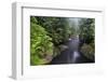 Capilano River Regional Park, Vancouver, British Columbia, Canada, North America-Richard Cummins-Framed Photographic Print