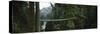 Capilano Suspension Bridge, Vancouver, British Columbia, Canada, North America-null-Stretched Canvas