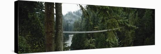 Capilano Suspension Bridge, Vancouver, British Columbia, Canada, North America-null-Stretched Canvas