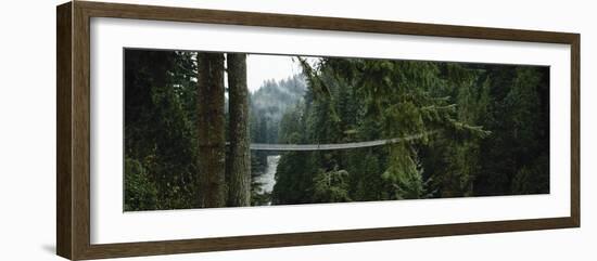 Capilano Suspension Bridge, Vancouver, British Columbia, Canada, North America-null-Framed Photographic Print