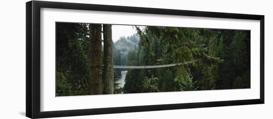 Capilano Suspension Bridge, Vancouver, British Columbia, Canada, North America-null-Framed Photographic Print