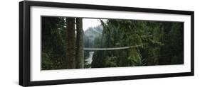 Capilano Suspension Bridge, Vancouver, British Columbia, Canada, North America-null-Framed Photographic Print