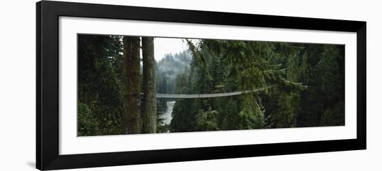 Capilano Suspension Bridge, Vancouver, British Columbia, Canada, North America-null-Framed Photographic Print