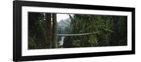 Capilano Suspension Bridge, Vancouver, British Columbia, Canada, North America-null-Framed Photographic Print