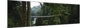 Capilano Suspension Bridge, Vancouver, British Columbia, Canada, North America-null-Mounted Photographic Print