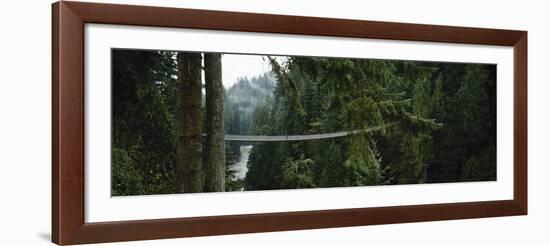 Capilano Suspension Bridge, Vancouver, British Columbia, Canada, North America-null-Framed Photographic Print