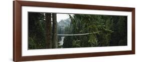 Capilano Suspension Bridge, Vancouver, British Columbia, Canada, North America-null-Framed Photographic Print