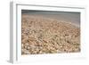 Capital City of Gustavia, Shell Beach, St. Bart's, West Indies-Cindy Miller Hopkins-Framed Photographic Print