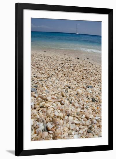 Capital City of Gustavia, Shell Beach, St. Bart's, West Indies-Cindy Miller Hopkins-Framed Premium Photographic Print