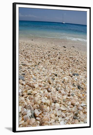 Capital City of Gustavia, Shell Beach, St. Bart's, West Indies-Cindy Miller Hopkins-Framed Premium Photographic Print