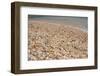 Capital City of Gustavia, Shell Beach, St. Bart's, West Indies-Cindy Miller Hopkins-Framed Photographic Print