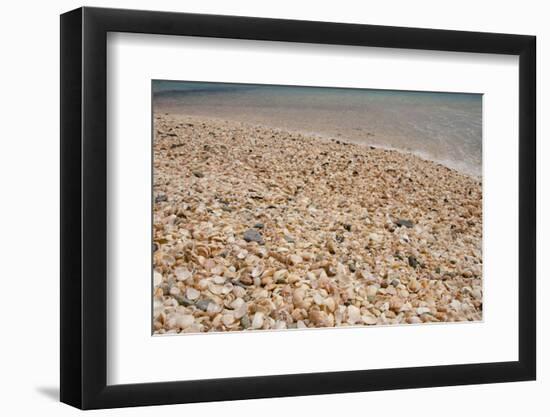 Capital City of Gustavia, Shell Beach, St. Bart's, West Indies-Cindy Miller Hopkins-Framed Photographic Print