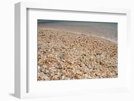 Capital City of Gustavia, Shell Beach, St. Bart's, West Indies-Cindy Miller Hopkins-Framed Photographic Print