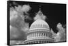 Capital Dome Washington D C B W-Steve Gadomski-Framed Stretched Canvas