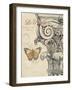 Capital Etching-Chad Barrett-Framed Art Print