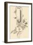 Capital Letter J Decorated with Floral and Insect Motifs .,1880 (Illustration)-Jules Auguste Habert-dys-Framed Giclee Print