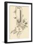 Capital Letter J Decorated with Floral and Insect Motifs .,1880 (Illustration)-Jules Auguste Habert-dys-Framed Giclee Print