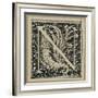 Capital Letter N, Illustration from 'The Life of Our Lord Jesus Christ'-James Tissot-Framed Giclee Print