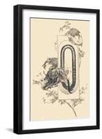 Capital Letter Q Decorated with Plant and Horse Motifs .,1880 (Illustration)-Jules Auguste Habert-dys-Framed Giclee Print