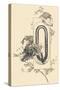 Capital Letter Q Decorated with Plant and Horse Motifs .,1880 (Illustration)-Jules Auguste Habert-dys-Stretched Canvas