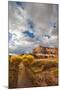 Capital Reef National Park. Autumn Reflections, the Castle and Sulphur Creek-Judith Zimmerman-Mounted Photographic Print