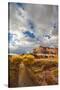 Capital Reef National Park. Autumn Reflections, the Castle and Sulphur Creek-Judith Zimmerman-Stretched Canvas