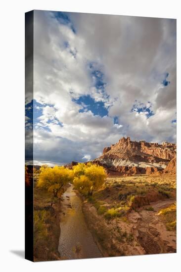 Capital Reef National Park. Autumn Reflections, the Castle and Sulphur Creek-Judith Zimmerman-Stretched Canvas