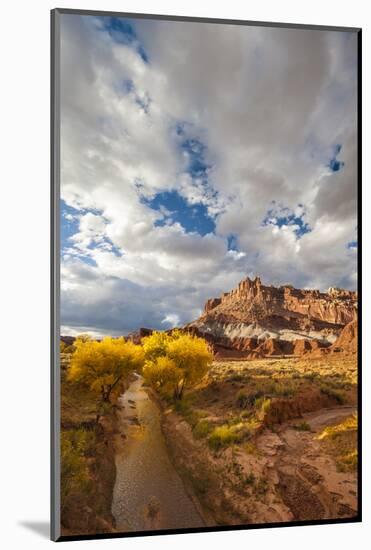 Capital Reef National Park. Autumn Reflections, the Castle and Sulphur Creek-Judith Zimmerman-Mounted Photographic Print