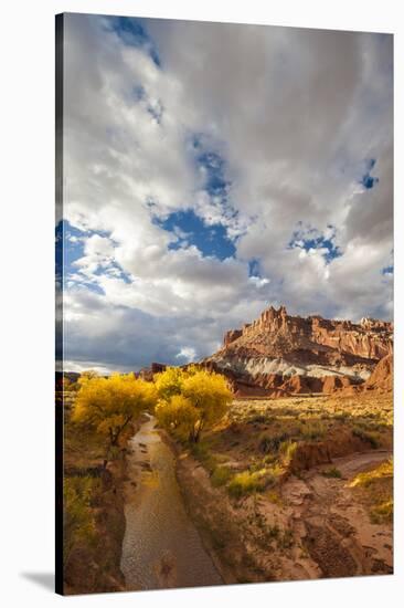 Capital Reef National Park. Autumn Reflections, the Castle and Sulphur Creek-Judith Zimmerman-Stretched Canvas