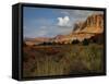 Capital Reef, UT-J.D. Mcfarlan-Framed Stretched Canvas