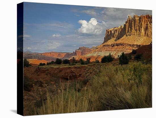 Capital Reef, UT-J.D. Mcfarlan-Stretched Canvas