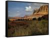 Capital Reef, UT-J.D. Mcfarlan-Framed Stretched Canvas