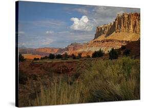 Capital Reef, UT-J.D. Mcfarlan-Stretched Canvas