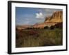 Capital Reef, UT-J.D. Mcfarlan-Framed Photographic Print