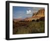 Capital Reef, UT-J.D. Mcfarlan-Framed Photographic Print