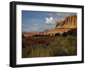 Capital Reef, UT-J.D. Mcfarlan-Framed Photographic Print