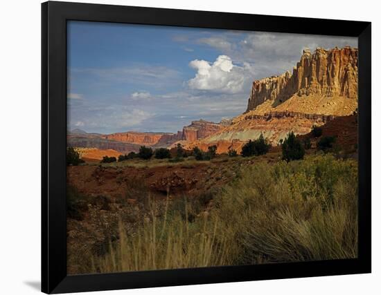 Capital Reef, UT-J.D. Mcfarlan-Framed Photographic Print